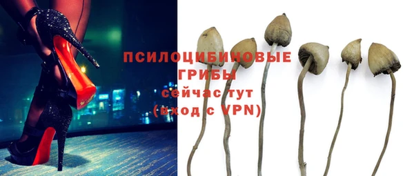 прущая мука Белокуриха