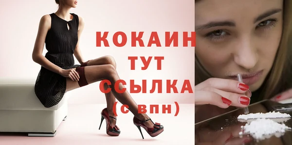 гидра Белоозёрский