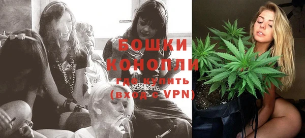 гидра Белоозёрский