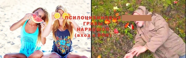 прущая мука Белокуриха