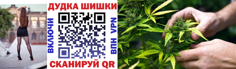 Канабис ГИДРОПОН  дарнет шоп  Егорьевск 